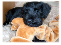 2005-09-11 23:37:27