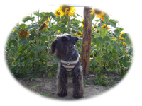 2005-08-19 10:01:10