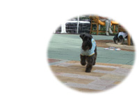 2005-09-05 00:16:27