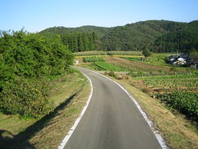 田舎道