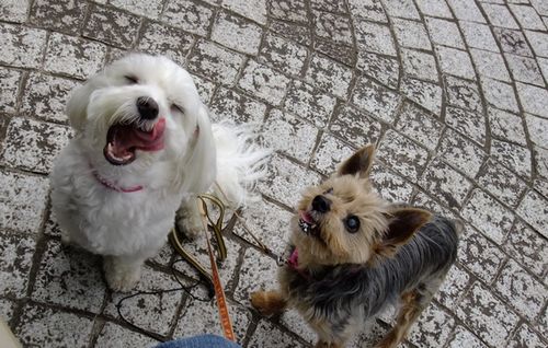 きゅん☆きゅん☆