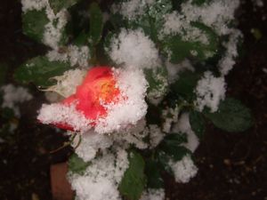 セクシーレクシー☆