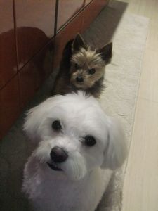 毎度っ！おやつ整列☆