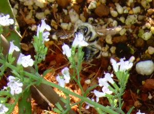 つかまってる～