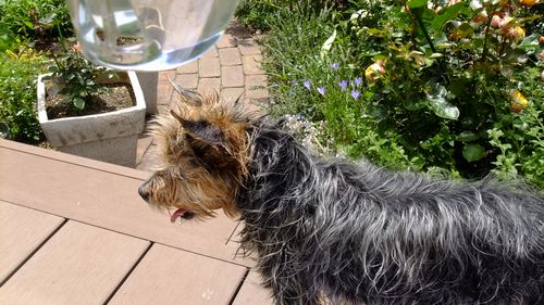 きもちぃぃぜ^^