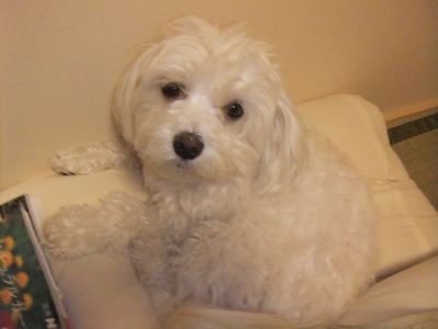 むっくり、何連続（笑）