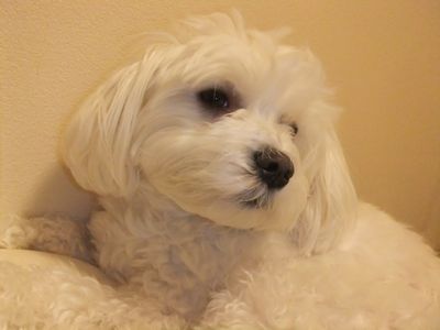 ママ、何ですか～？