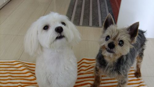 はい☆えらかったね♪