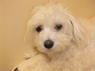 やっぱり眠いですぅ。。