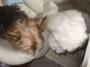 ナイショ話し☆