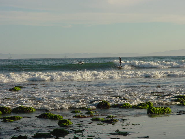 surfing 1