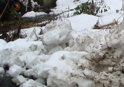 雪でした