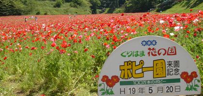 久里浜花の国