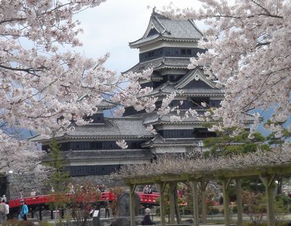 桜のなかの松本城