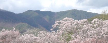 高遠から望む山々