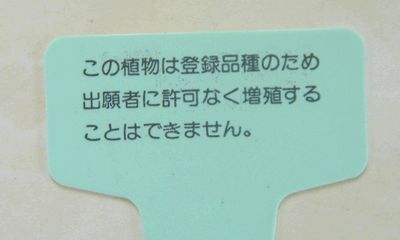 裏に書いてある注意書き