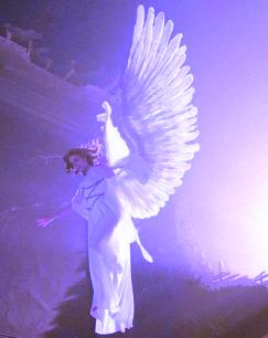 angel-0008.jpg