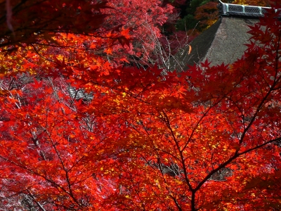 清水寺