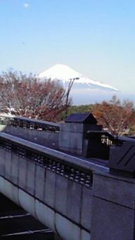 ロゼから富士山.jpg