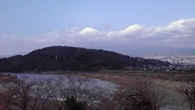 富士川から富士山.jpg