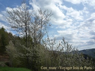 gorges de l'allier2
