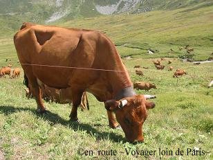 cormet de roselend2005-3