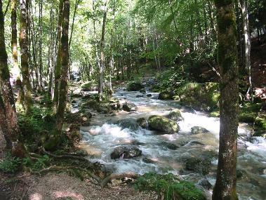 cascades du herisson--l'eventail2004-2