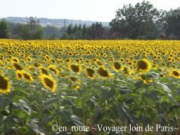 route au canal du midi