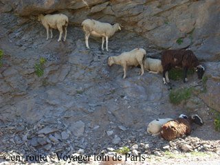 route au col de tentes2