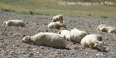 route au col de tentes3