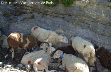 route au col de tentes4