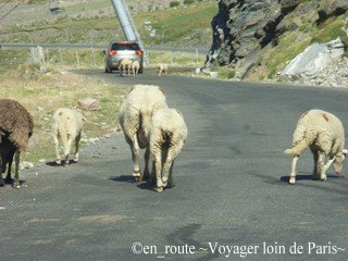 route du col de tentes1