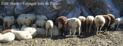 route du col de tentes2