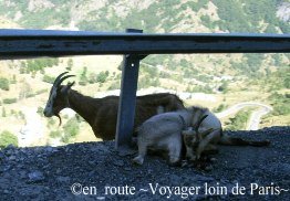 route du col de tentes3