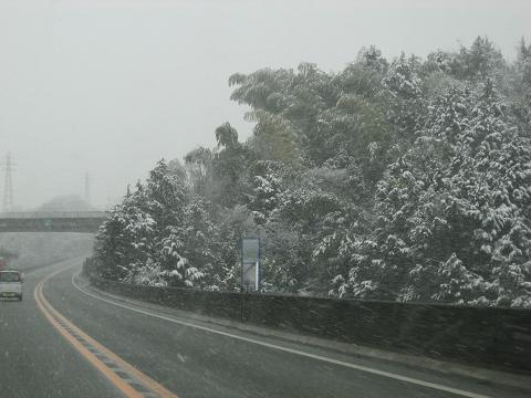 雪ドライブ