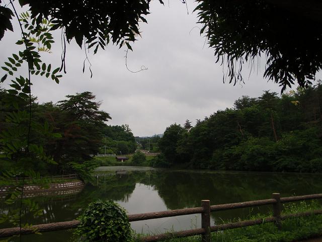 若林公園　藤棚の下・・・。鬱蒼としてます