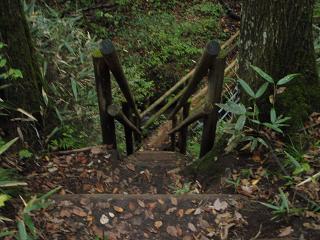 ことりはうすコース