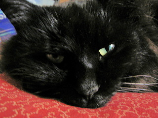 2008年1月1日0008.JPG