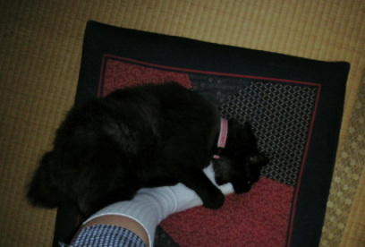 かじる福