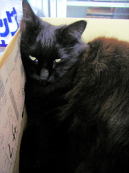 2008年4月2日0026.JPG