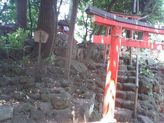 2008年6月14日0015.JPG