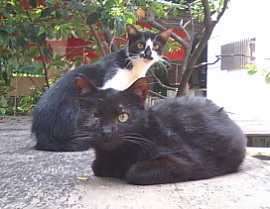 2008年6月14日0020.JPG