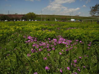 2008年4月11日0040.JPG