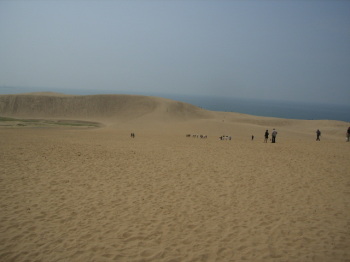 2008年6月10日0031.JPG
