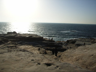 2008年3月17日0026.JPG