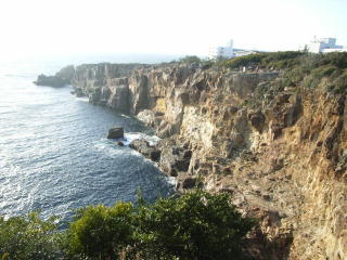 2008年3月17日0027.JPG