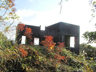 2007年12月10日0058.JPG