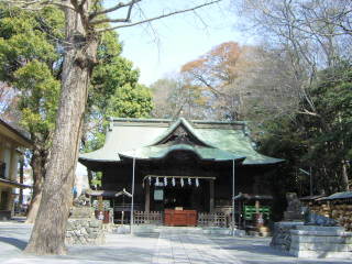 2008年4月2日0020.JPG