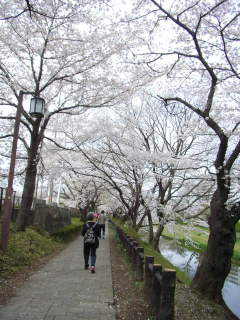 2008年4月2日0025.JPG