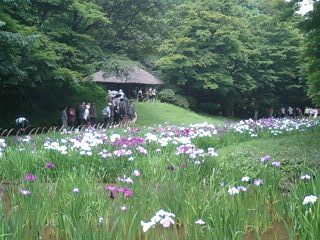 2008年6月16日0002.JPG